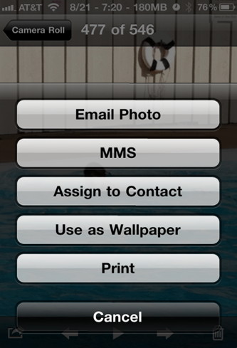 iPhone photo sharing options using a single picture
